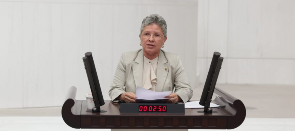 CHP TEKİRDAĞ MİLLETVEKİLİ NURTEN YONTAR: “ÜRETTİĞİMİZ ARACA VATANDAŞIMIZ ULAŞAMIYOR” - GÜNDEM - İnternetin Ajansı